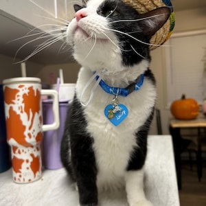 Sarah added a photo of their purchase