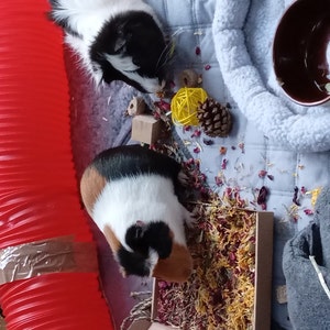 sarah added a photo of their purchase