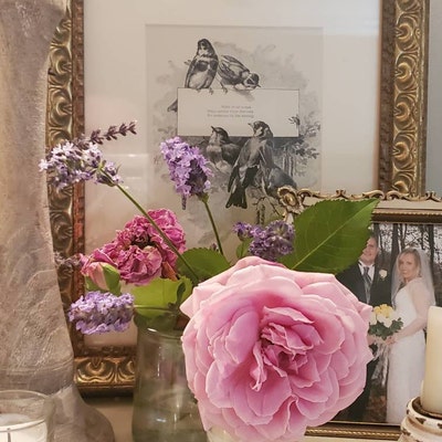 Antique Roses Print OLD Rhoda Holmes Nicholls A449 C1903 ...