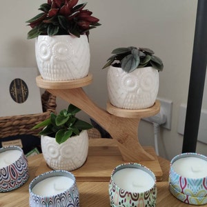 Cathy added a photo of their purchase