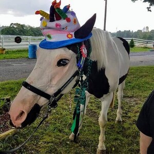 Birthday Hat for Horse or Pony with Candles Soft Equine | Etsy