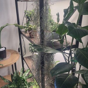 Jessica added a photo of their purchase