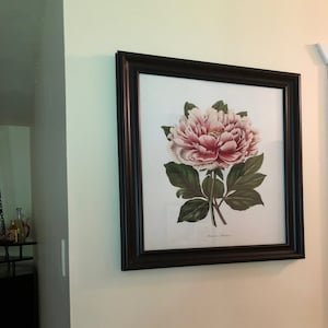 Abby added a photo of their purchase