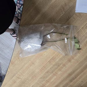 Jeni added a photo of their purchase
