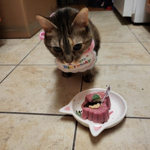 MoonKissedDreamer added a photo of their purchase