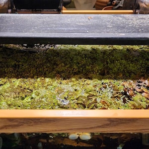 Stephanie added a photo of their purchase