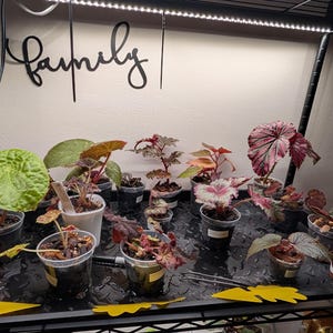 Amy added a photo of their purchase