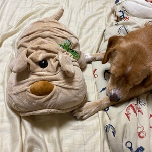 Kate added a photo of their purchase