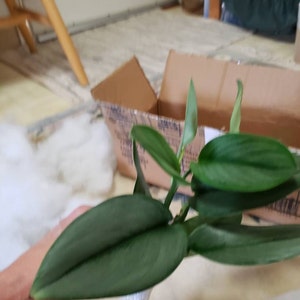 Theresa Justice added a photo of their purchase