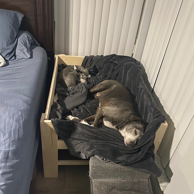 Wood Dog Bed Platform Unfinished to Hold Your Own Mattress Style the rebelthe Original Etsy UK