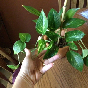 Bobbie added a photo of their purchase