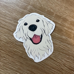Lucy ha aggiunto una foto del proprio acquisto