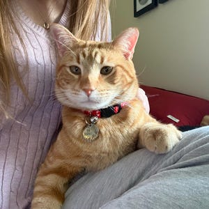 Brynn added a photo of their purchase