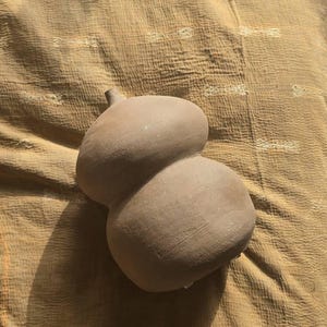 Jovaune added a photo of their purchase