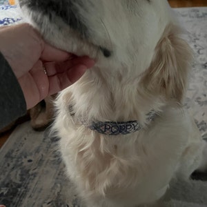 Carolyn added a photo of their purchase