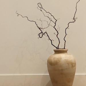 Wren added a photo of their purchase