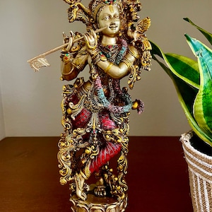 Sreedevi added a photo of their purchase