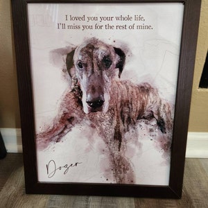 Dana added a photo of their purchase