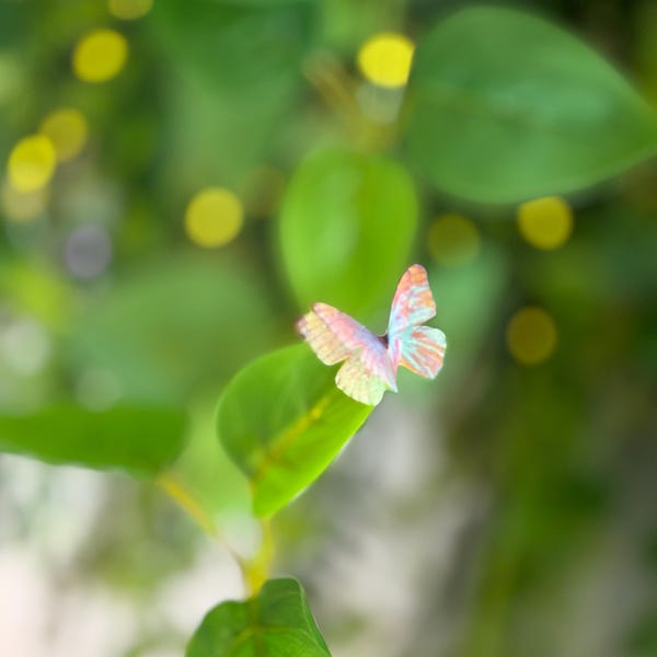 Mystical Monarch and Web Weaver Soft Wings Bundle main image 1