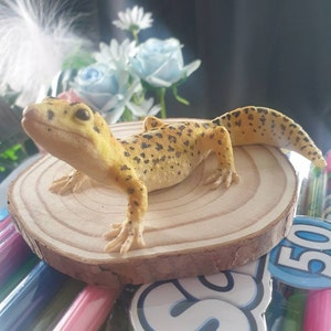 SophieK added a photo of their purchase
