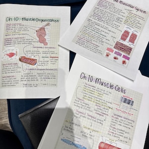 Tina added a photo of their purchase