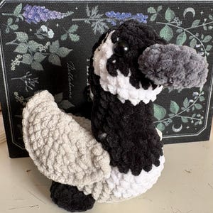 Erika added a photo of their purchase