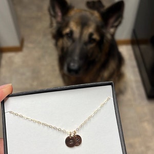 Darla heeft een foto van de aankoop toegevoegd