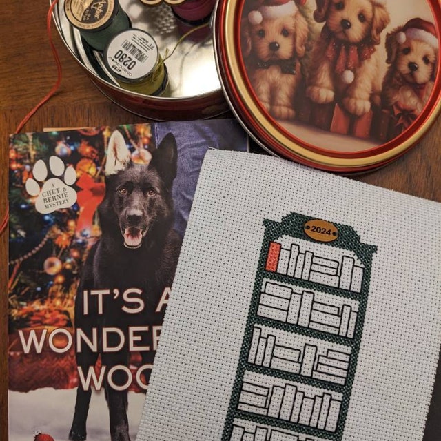 4 Best Cross Stitch Books for Beginners [with VIDEO] – Notorious