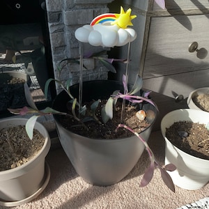 Anna hat ein Foto des gekauften Artikels hinzugefügt