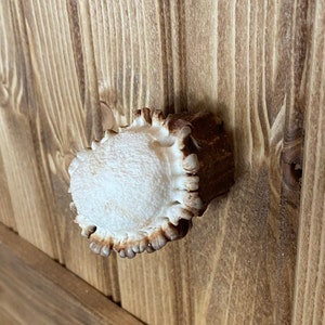 Comprador de Etsy ha añadido una foto de su compra