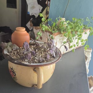 Noemie ha añadido una foto de su compra