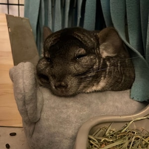 Calypso added a photo of their purchase