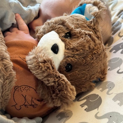 SOFT Mallard Duck Lovey, Duck Baby Lovey, Mallard Duck Nursery, Duck