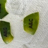 Reviewer's image