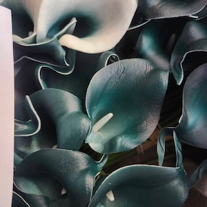 RUTHA added a photo of their purchase
