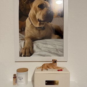 Thedini added a photo of their purchase