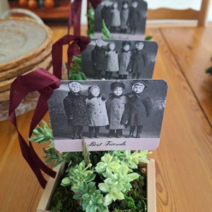 FOUR Beatrix Potter Peter Rabbit Postcards Art Mail Place Cardskeep in ...