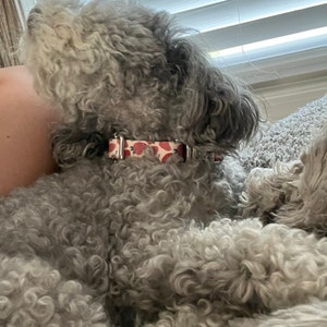 Christy added a photo of their purchase