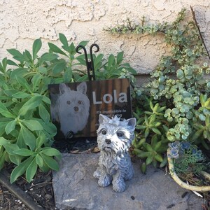 Martha added a photo of their purchase