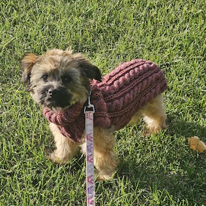 Colleen added a photo of their purchase