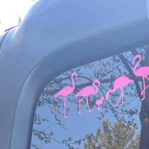 Megan added a photo of their purchase
