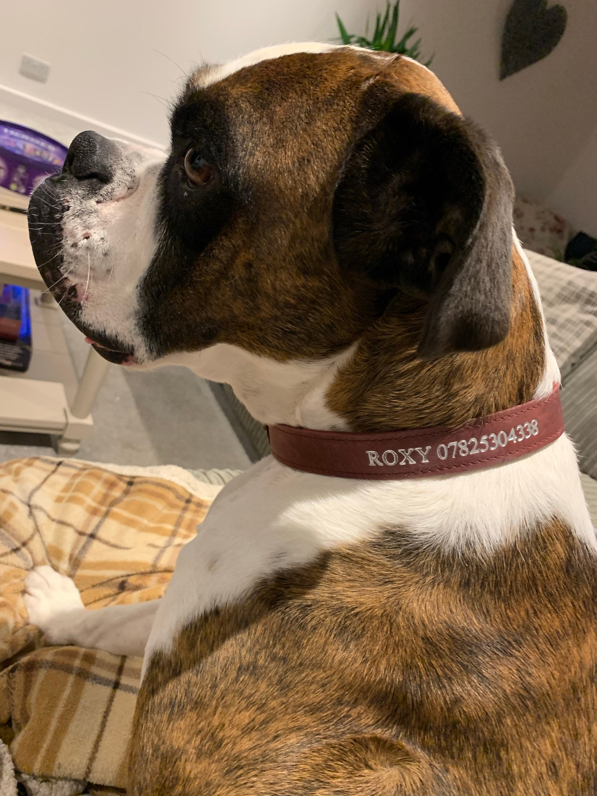 Personalized Leather Dog Collar, Personalized Dog Collar, Genuine Leather Dog Collar, Engraved Leather Dog Collar, Customized Dog Collar