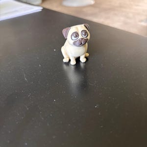 Rachel ha añadido una foto de su compra