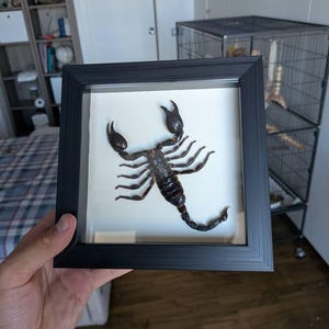 Andrea added a photo of their purchase