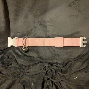 Echo added a photo of their purchase