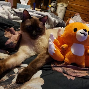 Marisa added a photo of their purchase