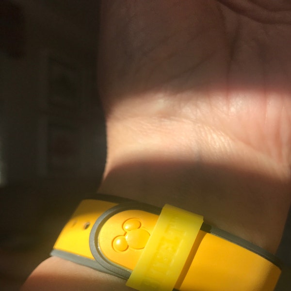 Adult Magic Band - Protect Your Magicband (includes 2.0 Version) Color ...