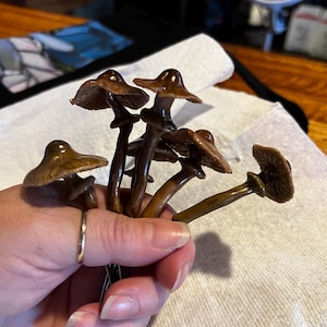 Michelle added a photo of their purchase