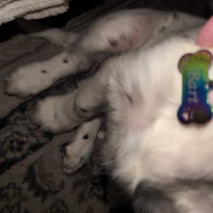 Donna ha añadido una foto de su compra