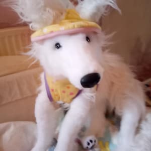 Linda added a photo of their purchase